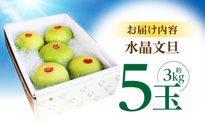 南国土佐の女王柑橘 水晶文旦 約3kg 5玉入り 文旦 ぶんたん フルーツ 果物 3キロ 高知県