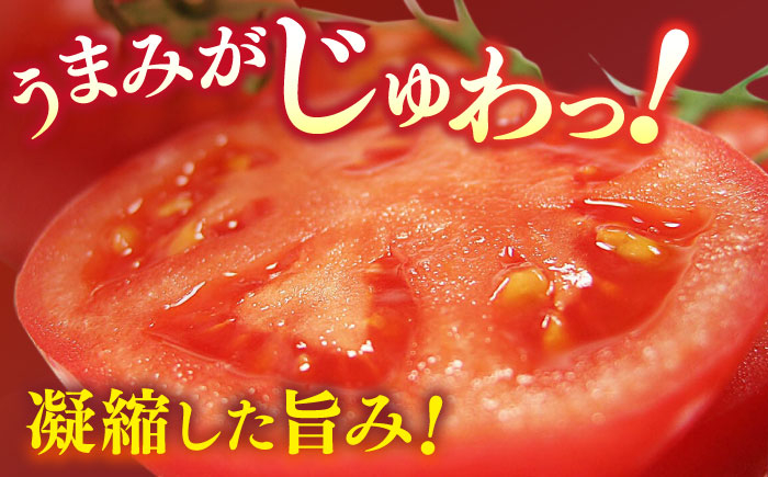 トマト とまと フルーツ 野菜 果物 季節もの 希少 高糖度 甘い 特選 徳谷トマト