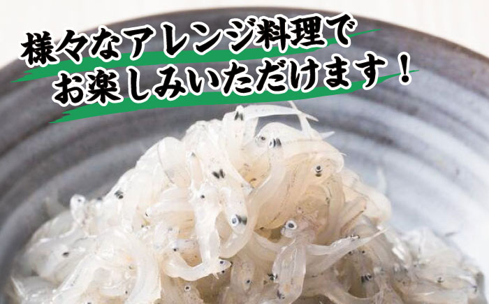 高知産「生シラス」イワシ稚魚約100g×5パック入り (タレ付) [ATBX003]
