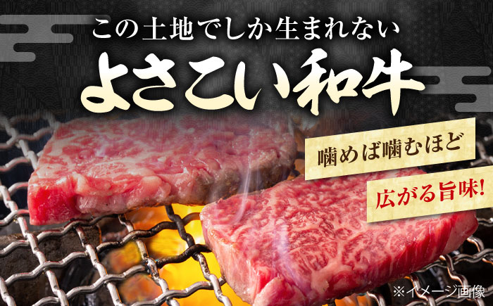 高知県産 よさこい和牛 上ロース焼肉 約750g×2 総計約1.5kg 牛肉 焼き肉 BBQ A4 A5  [ATAP006]