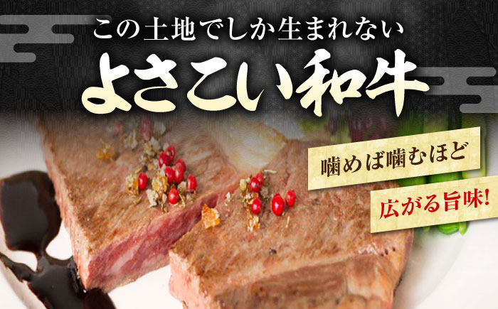 高知県産 よさこい和牛 サーロインステーキ用 約200g×2枚 牛肉 国産 サーロイン ステーキ 焼肉  [ATAP012]