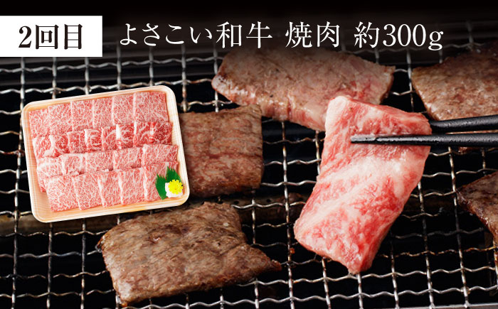 【3回定期便】お肉の定期便 高知県牛肉祭り (3ヵ月) 総計約1.8kg 国産 牛肉 すき焼き すきやき 焼肉 切り落とし