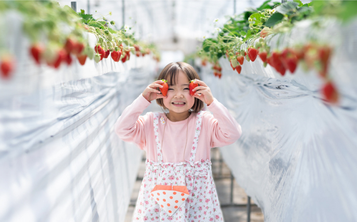 果物狩り 果物 フルーツ フルーツ狩り いちご さくらんぼ プラム もも ぶどう