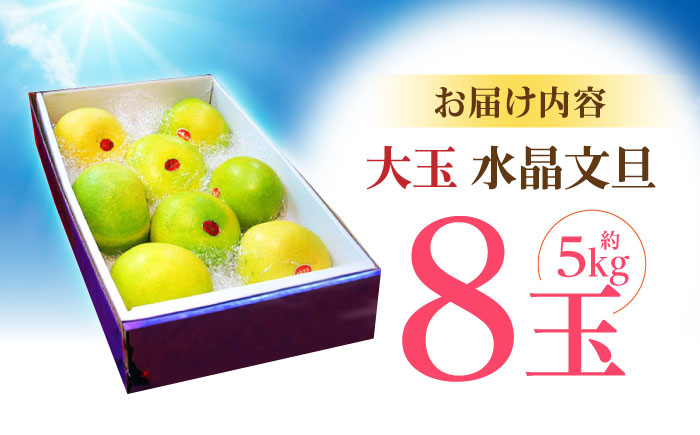 南国土佐の女王柑橘 水晶文旦 約5kg 8玉入り 大玉サイズ 文旦 ぶんたん フルーツ 果物 5キロ 高知県〈2024年9月～発