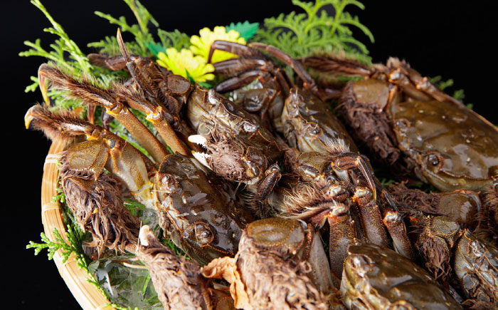 【期間・数量限定】浦戸湾育ちの天然ツガニ (モクヅガニ)【土佐の廣丸】 [ATAL002]