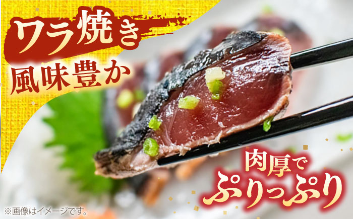 完全ワラ焼き 鰹たたき「龍馬タタキ」約500g かつお 鰹 藁焼き カツオ 高知 ワラ 美味しい 完全藁焼き