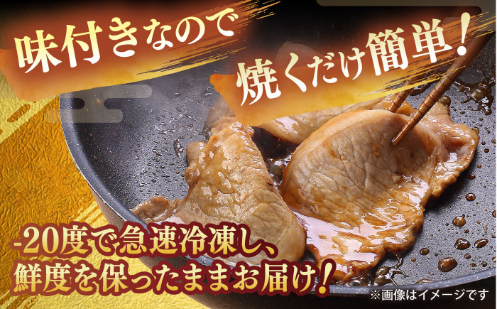 豚肉の生姜焼き 味付けセット 約500g×2 豚 しょうが焼き 焼くだけ 簡単  [ATAP023]