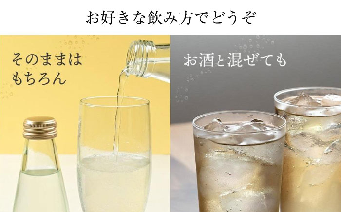 サイダー クラフトサイダー ジュース 炭酸 高知