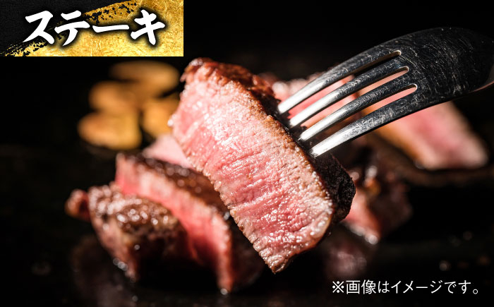 エイジング工法 熟成肉 土佐あかうし 特選シャトーブリアン ステーキ 約300g 冷凍 (約150g×2枚) 
