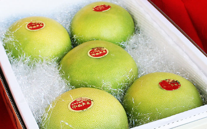 南国土佐の女王柑橘 水晶文旦 約3kg 5玉入り 文旦 ぶんたん フルーツ 果物 3キロ 高知県