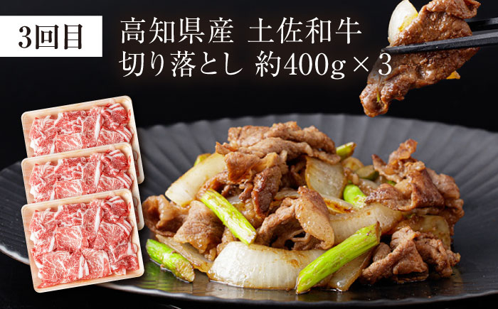 【3回定期便】お肉の定期便 高知県牛肉祭り (3ヵ月) 総計約1.8kg 国産 牛肉 すき焼き すきやき 焼肉 切り落とし