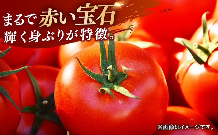 トマト とまと フルーツ 野菜 果物 季節もの 希少 高糖度 甘い 特選 徳谷トマト