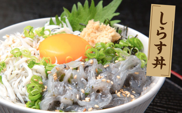 高知産「生シラス」イワシ稚魚約100g×5パック入り (タレ付) [ATBX003]