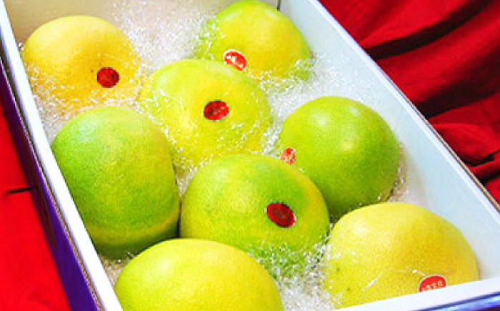 南国土佐の女王柑橘 水晶文旦 約5kg 8玉入り 大玉サイズ 文旦 ぶんたん フルーツ 果物 5キロ 高知県〈2024年9月～発