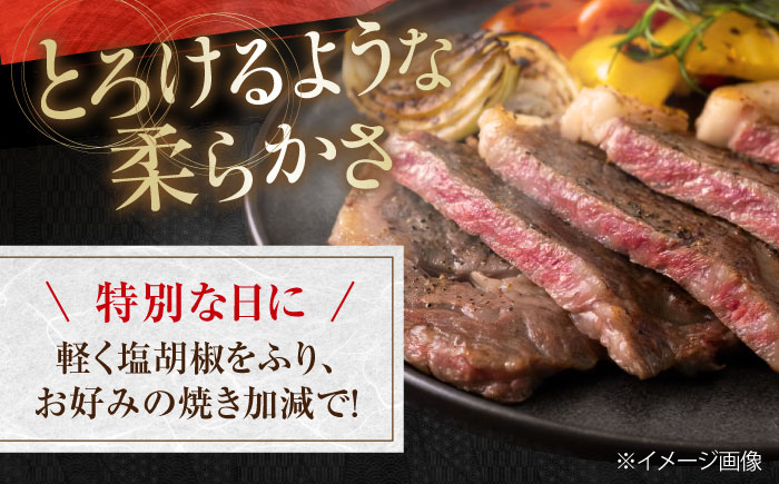高知県産 よさこい和牛 サーロインステーキ用 約200g×2枚 牛肉 国産 サーロイン ステーキ 焼肉  [ATAP012]