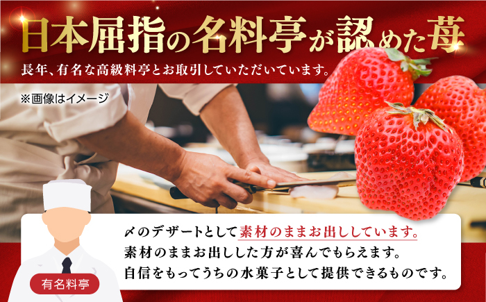 【先行予約】煌稀の果実 高知市春野町産 苺 大粒 (約360g 9または12粒)