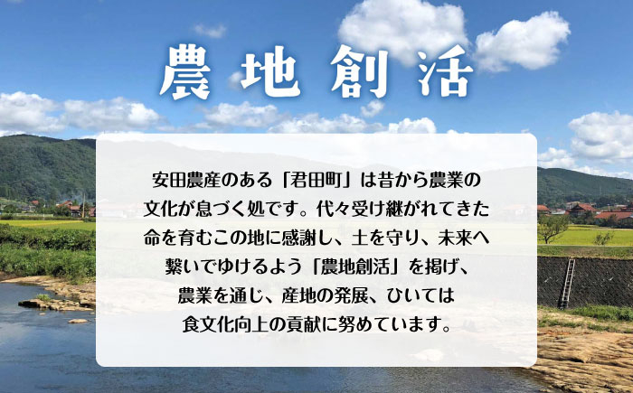 麦 もち麦 ごはん ご飯 国産 ダイエット 食物繊維 腸活 血糖値 便秘解消