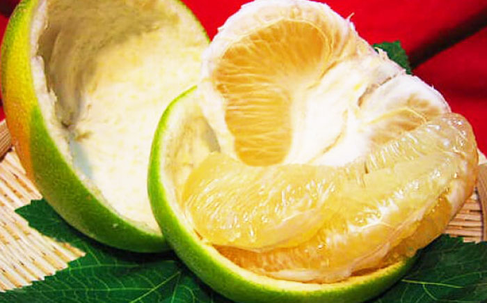 南国土佐の女王柑橘 水晶文旦 約5kg 8玉入り 大玉サイズ 文旦 ぶんたん フルーツ 果物 5キロ 高知県〈2024年9月～発