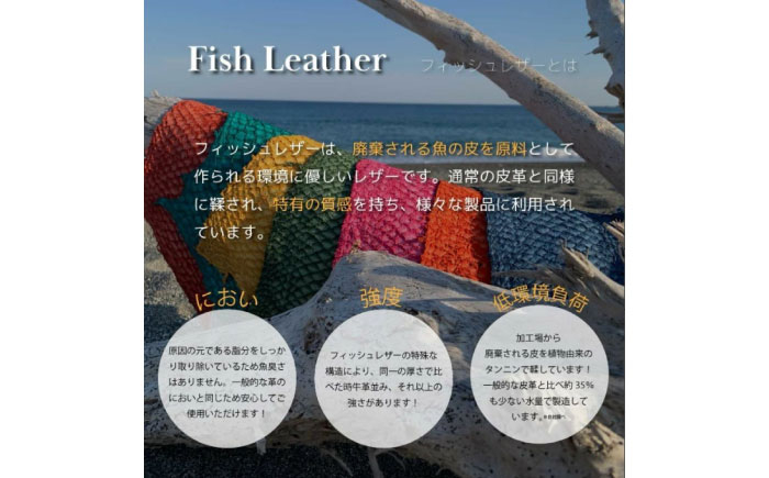 【Ivory Black】Ocean Leather 名刺入れ【ブリ】M【興洋フリーズ株式会社】 [ATBX084-01]