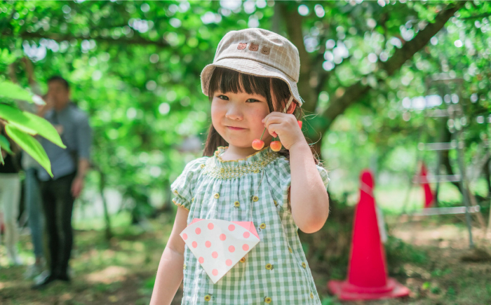 果物狩り 果物 フルーツ フルーツ狩り いちご さくらんぼ プラム もも ぶどう