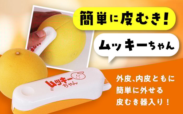 【先行予約】南国高知温室土佐文旦 約3kg 5玉 文旦 ぶんたん フルーツ 果物 3キロ 高知県