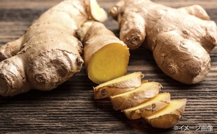 餃子 しょうが餃子 ギョウザ ぎょうざ 焼き餃子 餃子家 龍 おかず 冷凍食品 