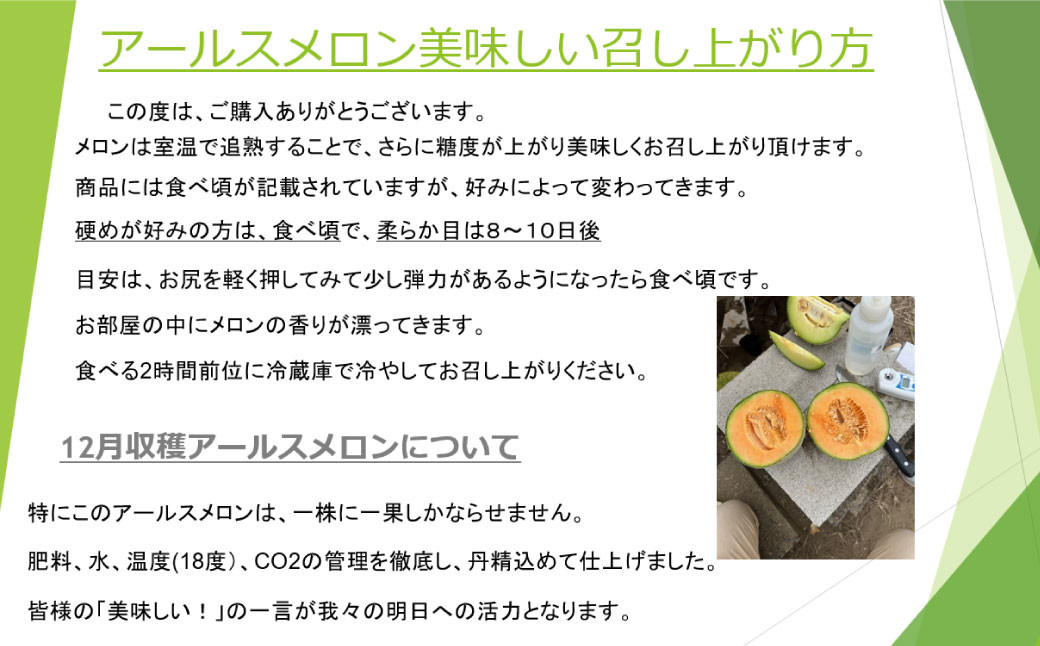 大好評!アールスメロン（2玉）化粧箱入