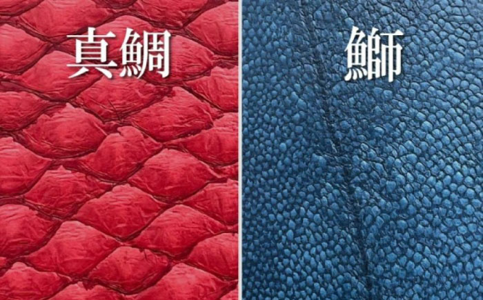 【Ivory Black】Ocean Leather BOXコインケース【マダイ】【興洋フリーズ株式会社】 