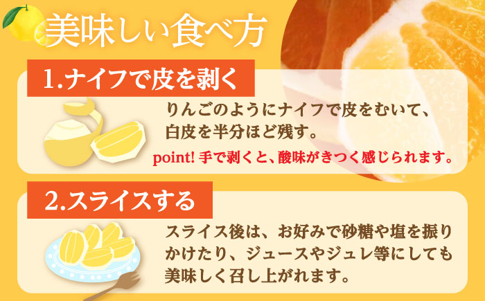 【先行予約】土佐小夏約2.5kg 13個前後 Lサイズ さわやかな甘さが絶品 ヒュウガナツ ニューサマーオレンジ フルーツ