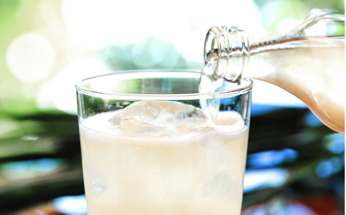 土佐山ジンジャエールマイルドM(200ml) 20本入り  [ATBH005]