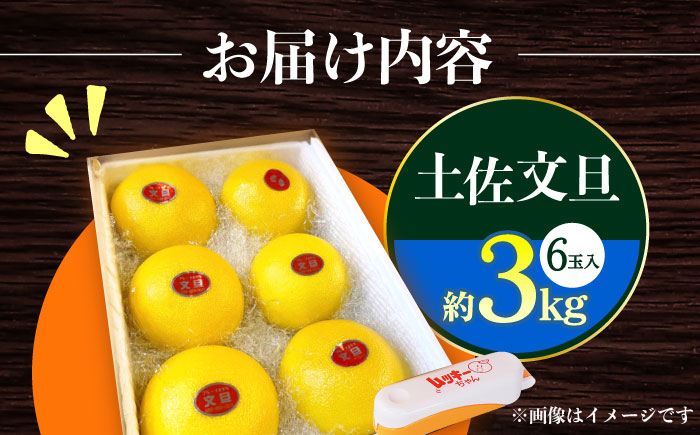 【先行予約】南国高知温室土佐文旦 約3kg 6玉 文旦 ぶんたん フルーツ 果物 3キロ 高知県