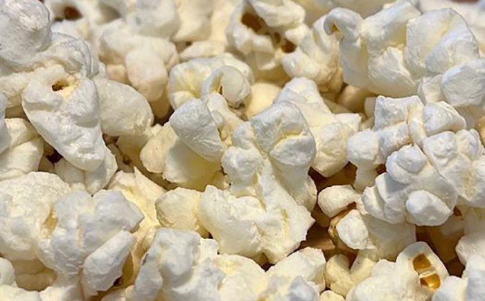 愛犬家のご自宅用にも・プレゼント用にもぴったり！「犬用おやつポップコーン」3種セット [ATCC001]