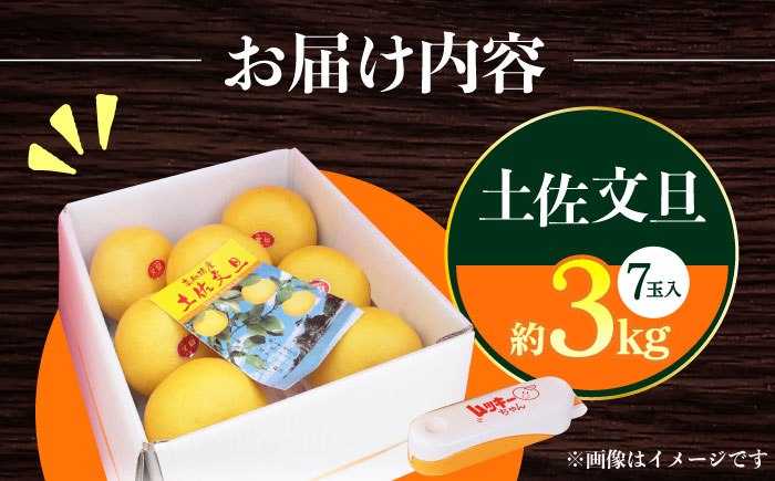 【先行予約】南国高知温室 土佐文旦 約3kg 7玉 文旦 ぶんたん フルーツ 果物 3キロ 高知県