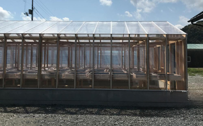 高知厳選1本釣り本わら焼き「田野屋銀象シリーズ 極カツオのたたき (6~7人前) 完全天日塩付