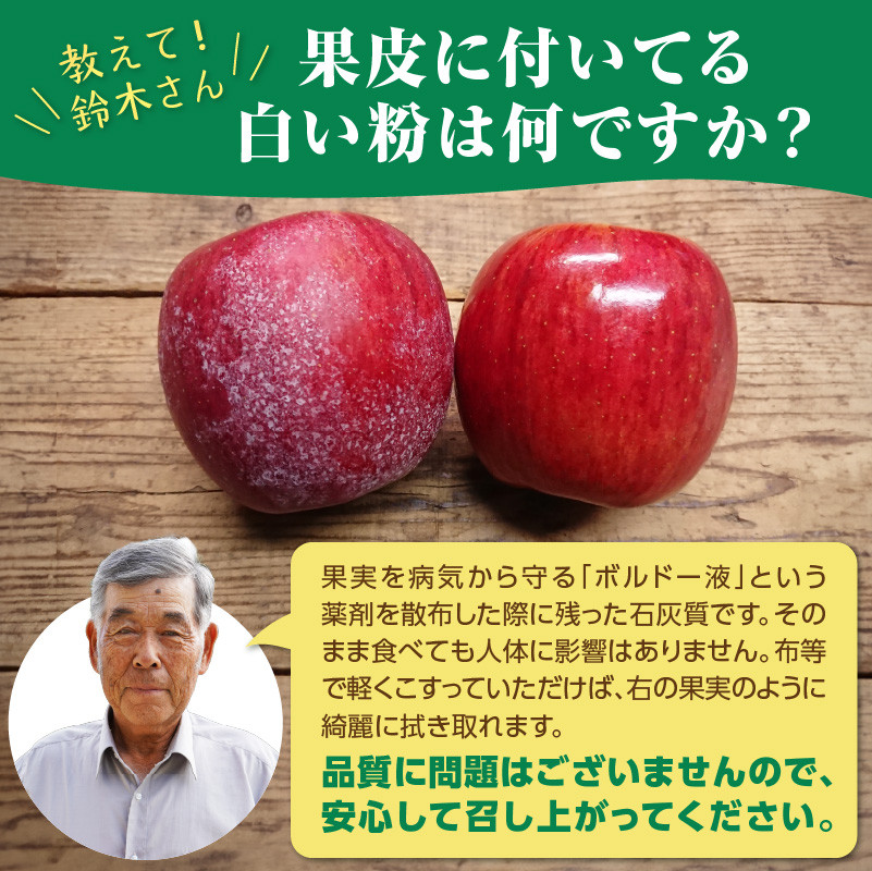 《先行受付》特別栽培 贈答規格サンふじ約5kg 【2026年12月中旬頃～発送予定】