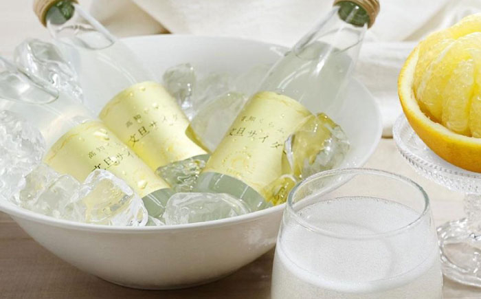 サイダー クラフトサイダー ジュース 炭酸 高知