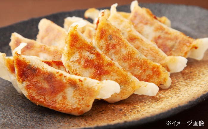 餃子 しょうが餃子 ギョウザ ぎょうざ 焼き餃子 餃子家 龍 おかず 冷凍食品 