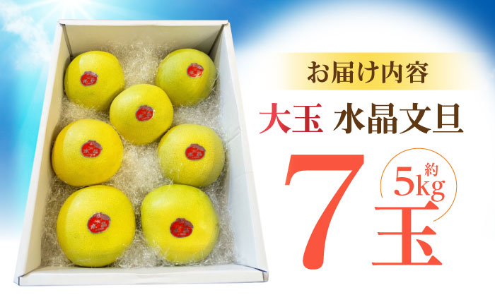 南国土佐の女王柑橘 水晶文旦 約5kg 7玉入り 大玉サイズ ぶんたん 文旦 フルーツ 高知名物 果物〈2024年9月～発送〉 