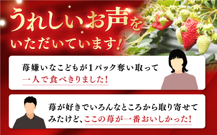 【先行予約】煌稀の果実 高知市春野町産 苺 大粒 (約360g 9または12粒)