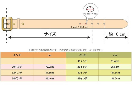 ※個体差があり数ミリ長さが前後する場合があります。