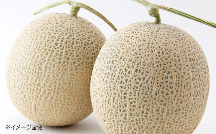 【先行予約】高知市 春野町産 マスクメロン 2玉 (約2.8kg~約3.4kg 箱重量込み) 