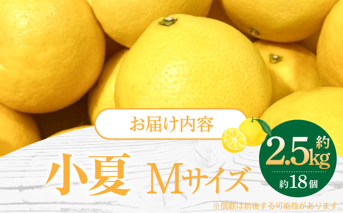 【先行予約】土佐小夏 約2.5kg 18個前後 Mサイズ さわやかな甘さが絶品 ヒュウガナツ ニューサマーオレンジ