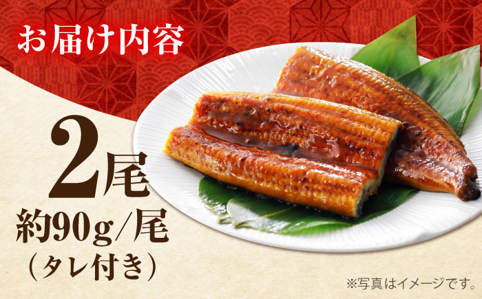 うなぎ 鰻 ウナギ 鰻の蒲焼 うなぎ 国産 高知 高知県産 お取り寄せ 鰻 うなぎ 