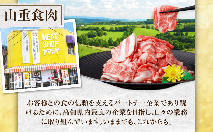 中落カルビ 味付け焼肉用 約500g×2 牛肉 焼き肉 BBQ 焼くだけ 簡単 【(有)山重食肉】 [ATAP022]