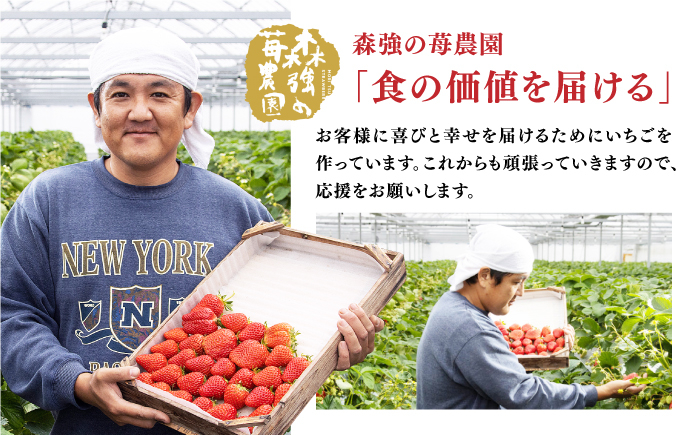 いちご 苺 イチゴ 果物 フルーツ 希少 大粒 高級