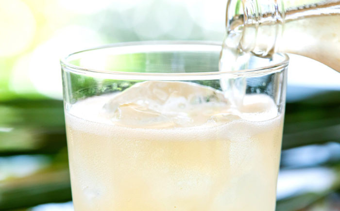 土佐山ジンジャエールマイルドM 6本セット [ATBH003]