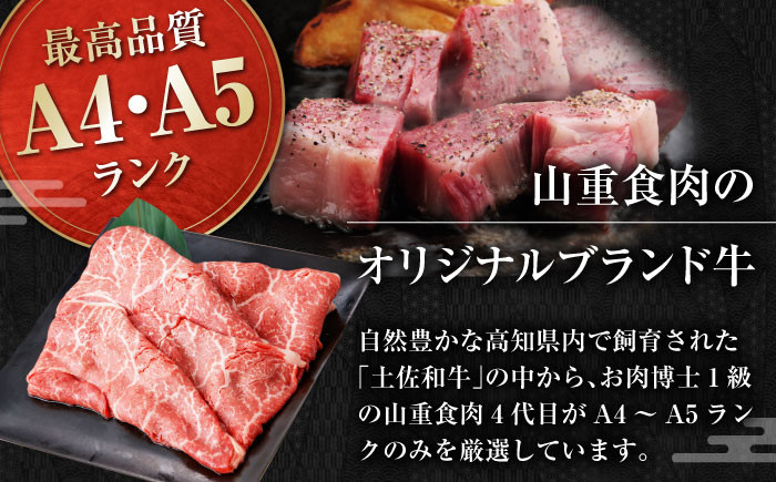 高知から美味しいお肉の玉手箱! 化粧箱入り 総計約840g 牛肉 ステーキ 焼肉 切り落とし 国産 A4 A5 