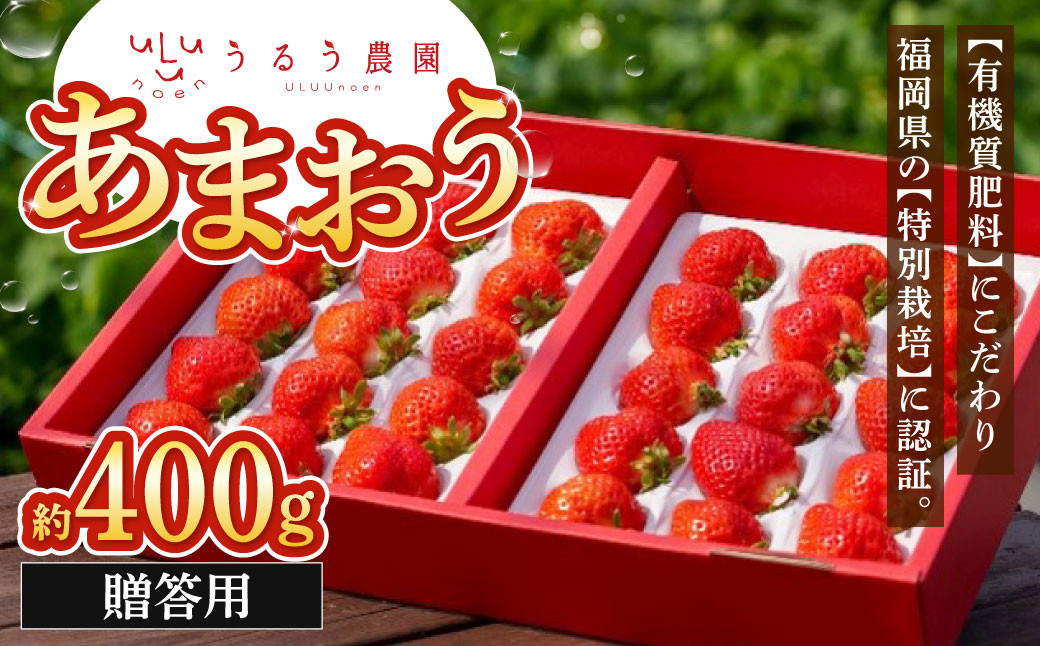 贈答用 あまおう 約400g