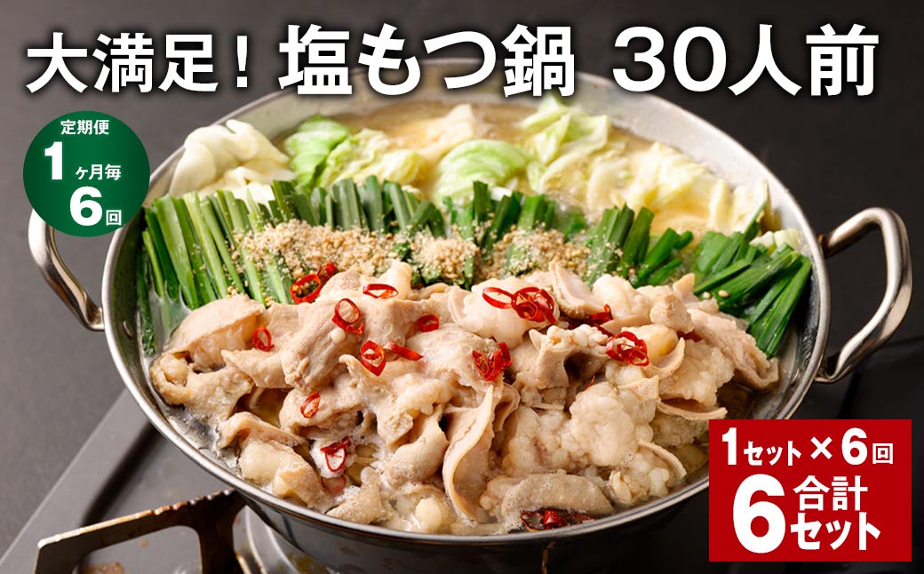 【1ヶ月毎6回定期便】大満足！塩もつ鍋 30人前 計6セット（1セット✕6回） モツ鍋 もつ鍋 セット
