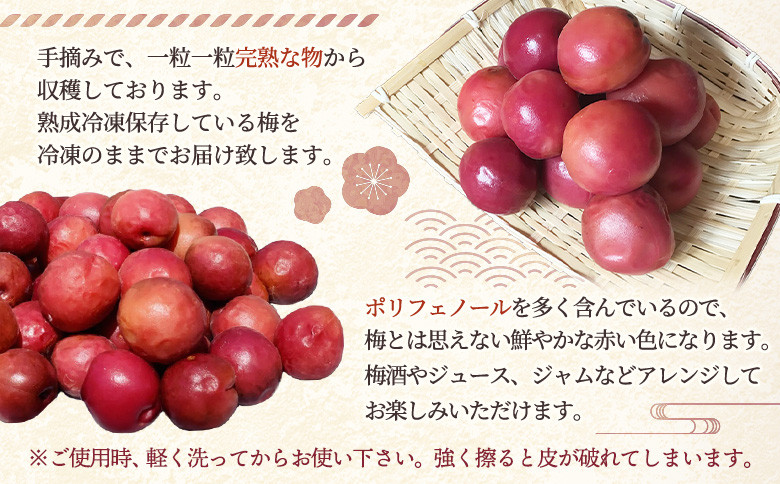 小高の露茜(完熟熟成冷凍梅)　　　1Kg詰め